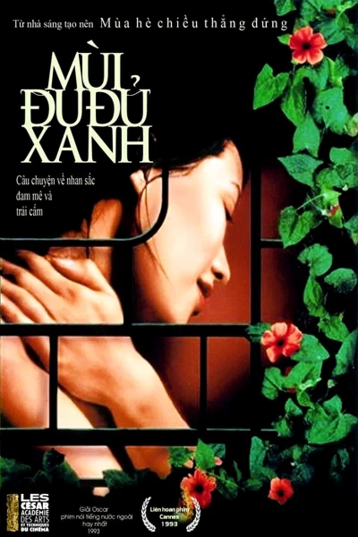 Mùi Đu Đủ Xanh